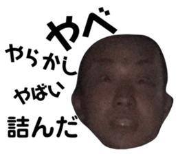 240669820