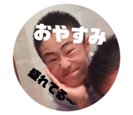 240681183
