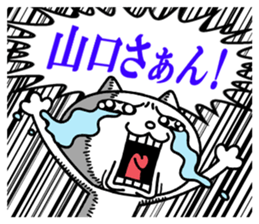 24076829