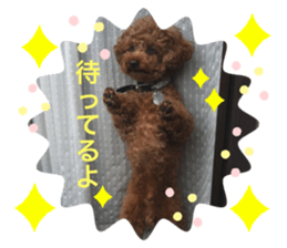 240782989