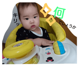 24078392
