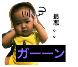 24080146