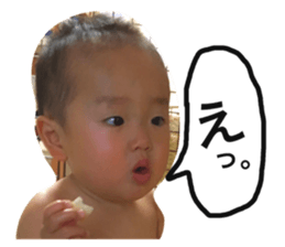 24080152