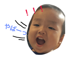 24080165