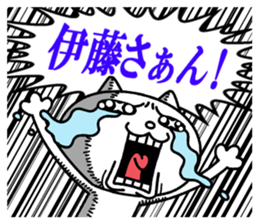 24080797