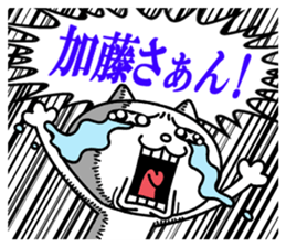 24080885