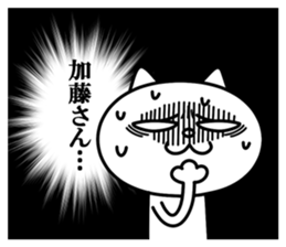 24080891