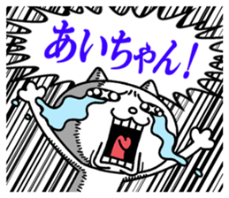 24080949
