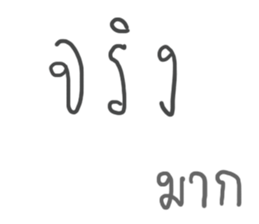 24081036