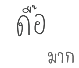 24081041