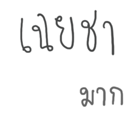 24081046
