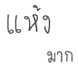 24081048