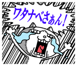 24081461