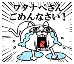 24081462