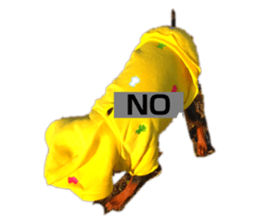 240904510