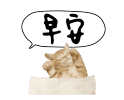 240919612