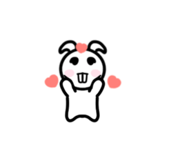 24094976