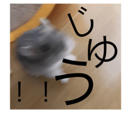 240989633