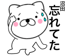 24101531