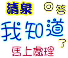 241028081