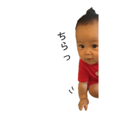 241053344