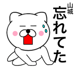 24110807