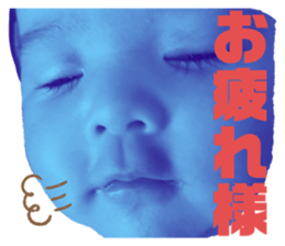 241135077