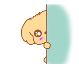2411857