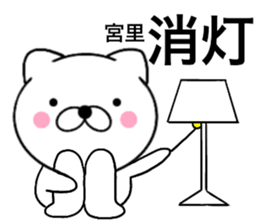 24118603