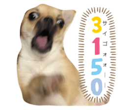 241225692