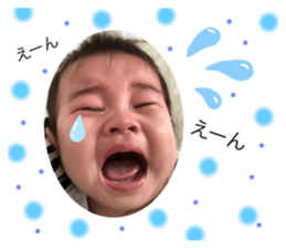 241294120