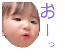 241454590