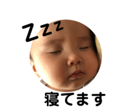 241513052