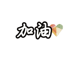 241595555
