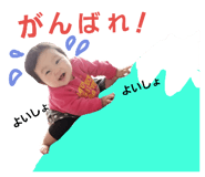 24160151