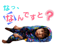 24160157