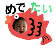 24160166