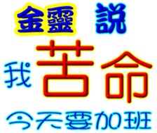 241616669