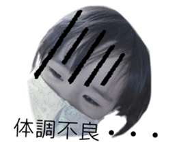 241631192