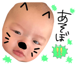 24168253
