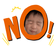 241701219