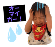 241701228