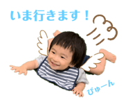 241701237