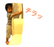 241701245