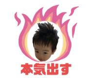 241701253