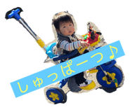 241737869