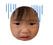 241756813