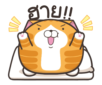 เหมียวซ่า ตัวกลมๆ รูปที่ 1
