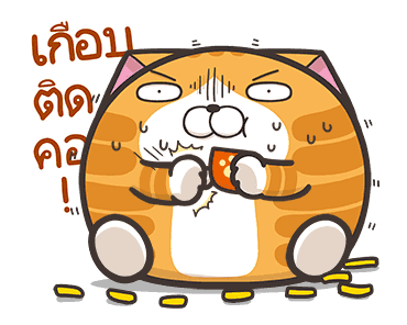 เหมียวซ่า ตัวกลมๆ รูปที่ 2