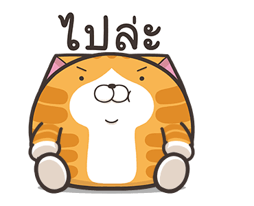 เหมียวซ่า ตัวกลมๆ รูปที่ 3